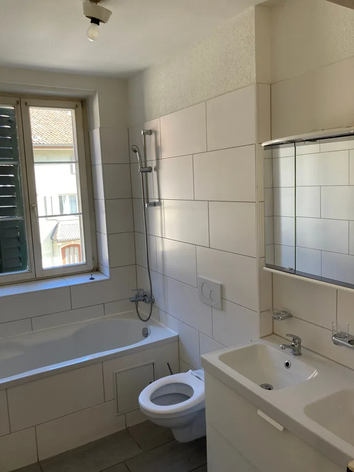 Casa multifamiliare a Balsthal con 6 appartamenti e un salone di parrucchieri in vendita! – foto 8 di 14