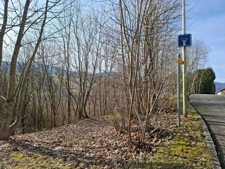 An sonniger Lage