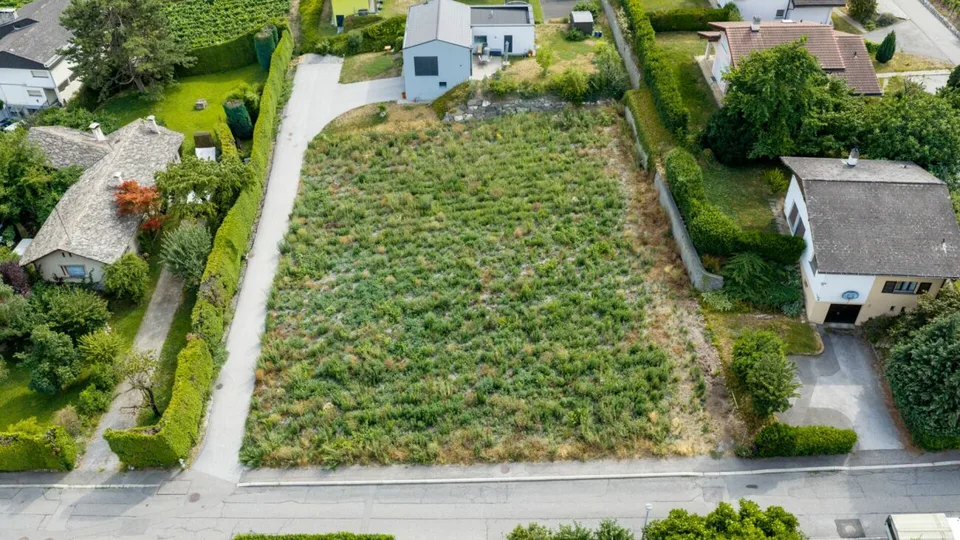 Die Weinberge von der Arche - Los Nr. 2 – Foto 11 von 18