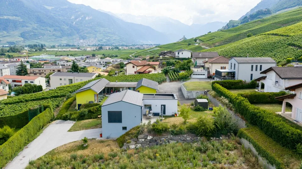 Die Weinberge von der Arche - Los Nr. 2 – Foto 9 von 18