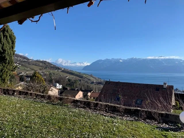 Charmante villa individuelle de 6.5 pièces avec vue panoramique sur le lac et les montagnes!