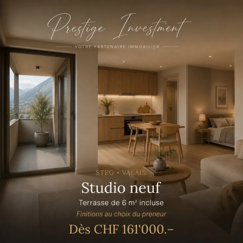 STUDIO NEUF À STEG (VS) - DÈS CHF 161'000 copie
