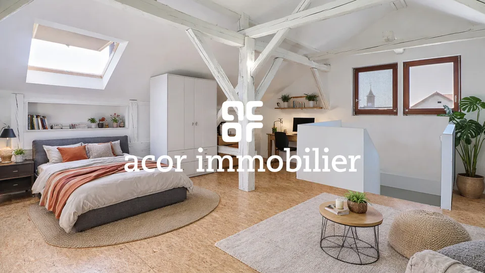 Immeuble de caractère avec jardin, piscine et revenu locatif