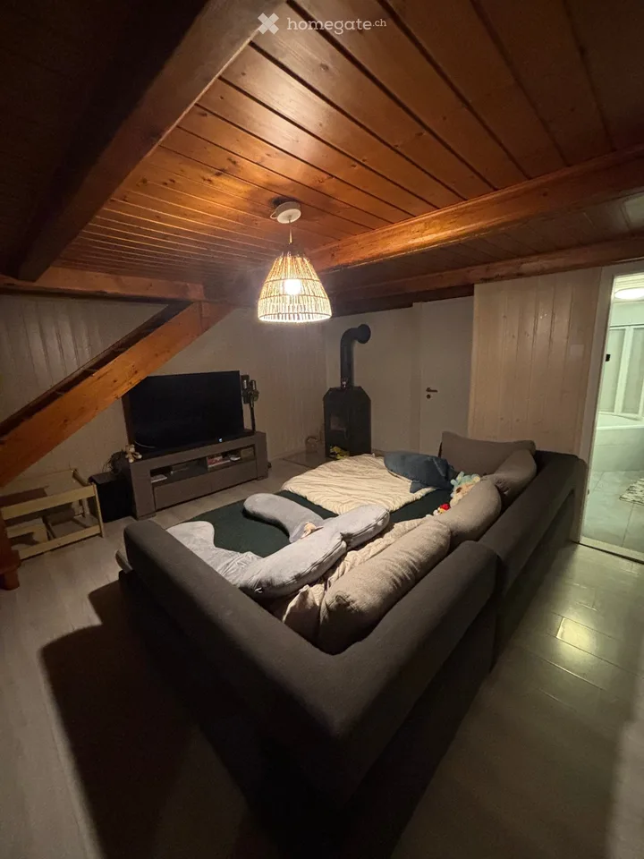Village house with 3.5 rooms