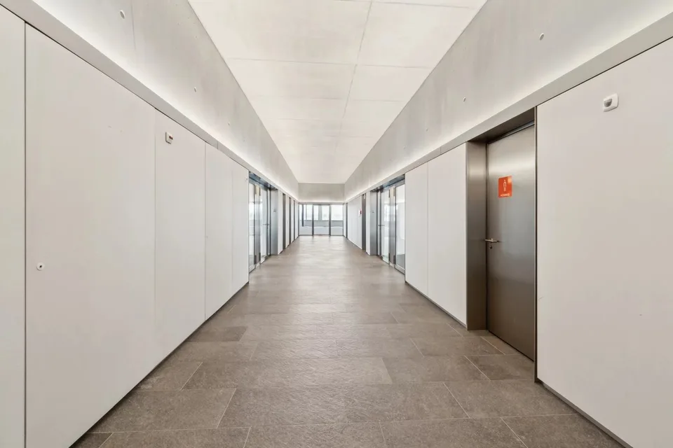 Beautiful semi-finished surfaces in Plan-les-Ouates