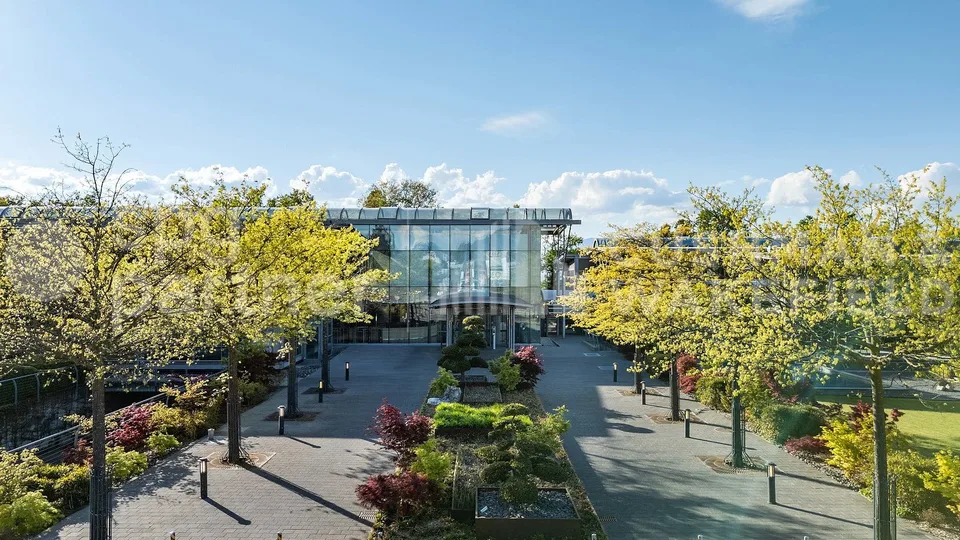 Bureaux aménagés de 600 m² à louer à Collonge-Bellerive - Onyx Business Park