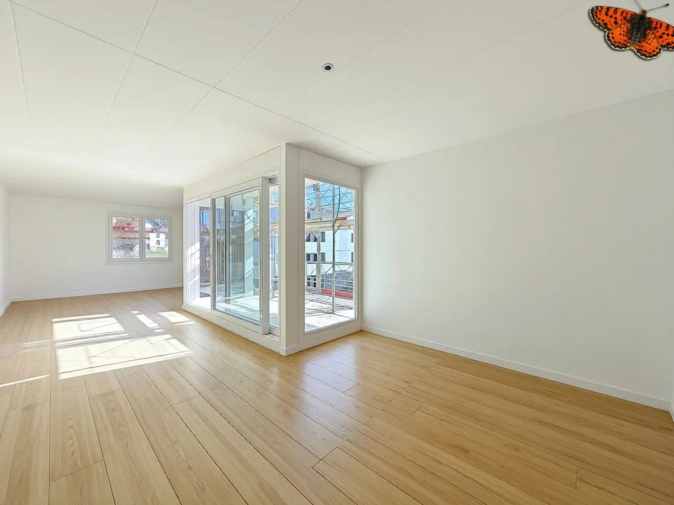 4 ½ Zimmer - Neubau von hohem Standard