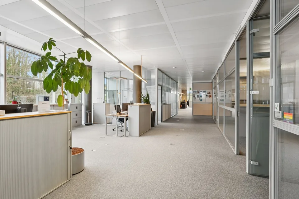 Uffici in affitto a Morges – Superficie di 316 m2 a 445 m2 – foto 6 di 13