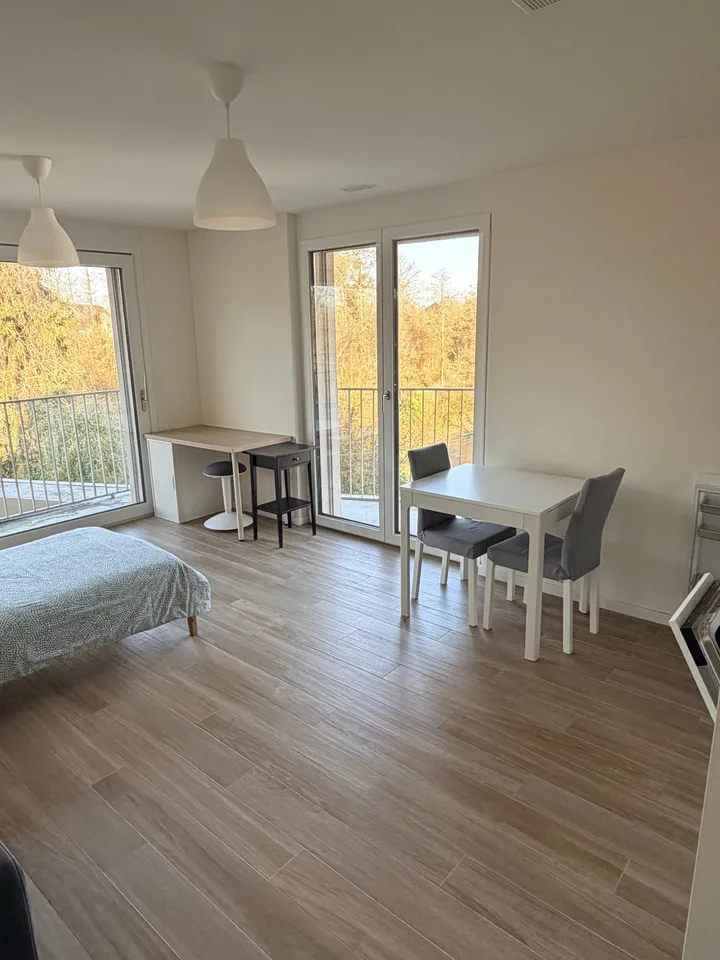 Modernes Studio mit Balkon in Opfikon – Neubau