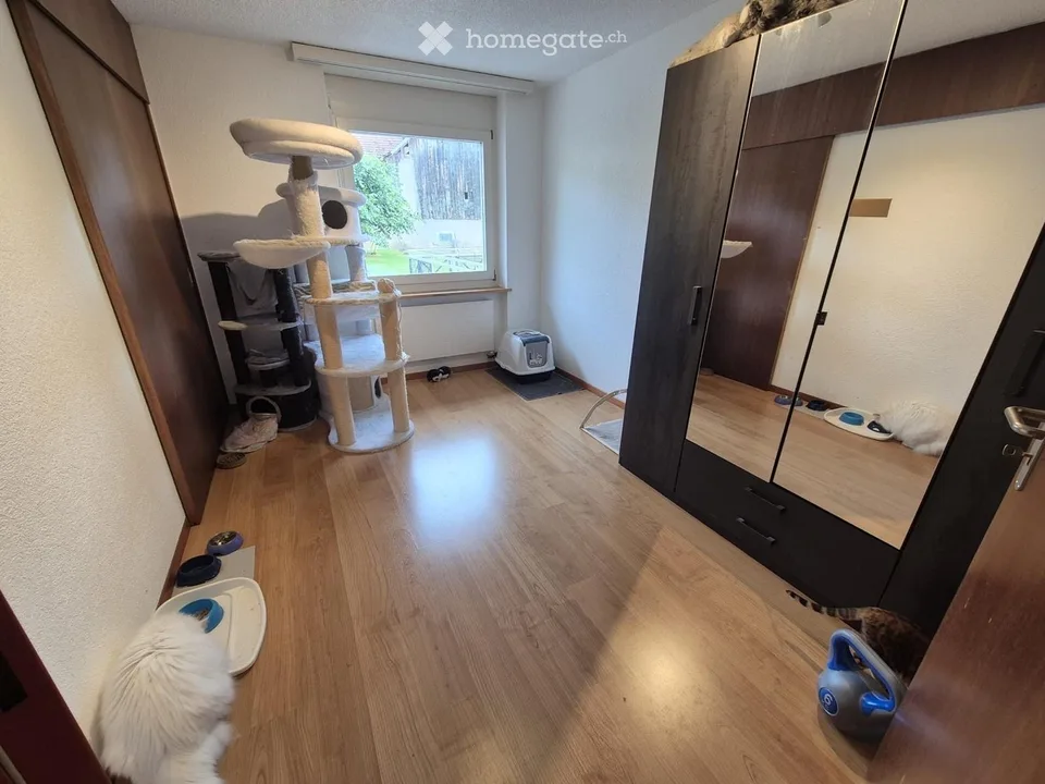 Schönes Appartement, 4,5 Zimmer + 2 Terrassen + Zugang zur Wiese