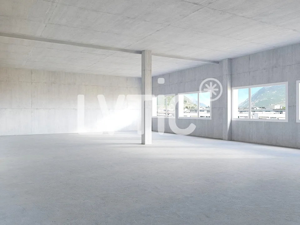 Locaux, cabinets, bureaux de 630 m2 divisibles à louer à Martigny – photo 6 sur 10