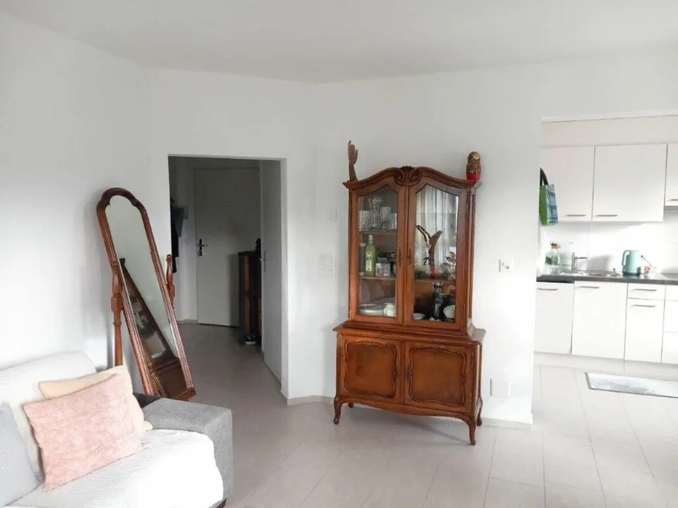 Appartamento arredato di 2,5 locali con balcone