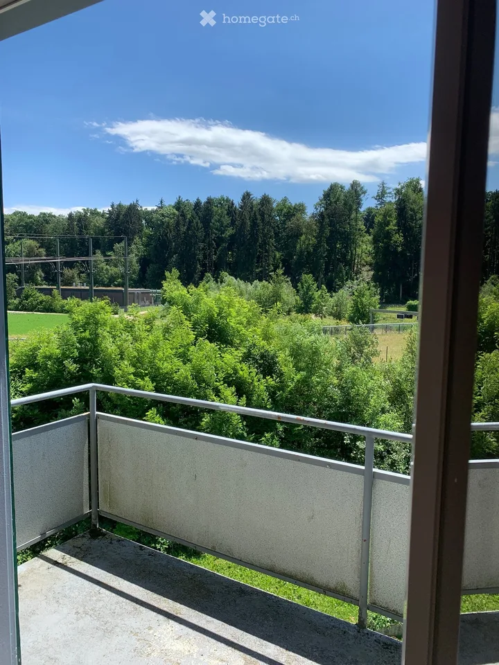 Gepflegte 4-Zimmer-Wohnung mit Balkon und schöner Aussicht in Zuchwil