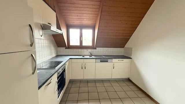 Grande appartamento accogliente in un edificio storico del villaggio