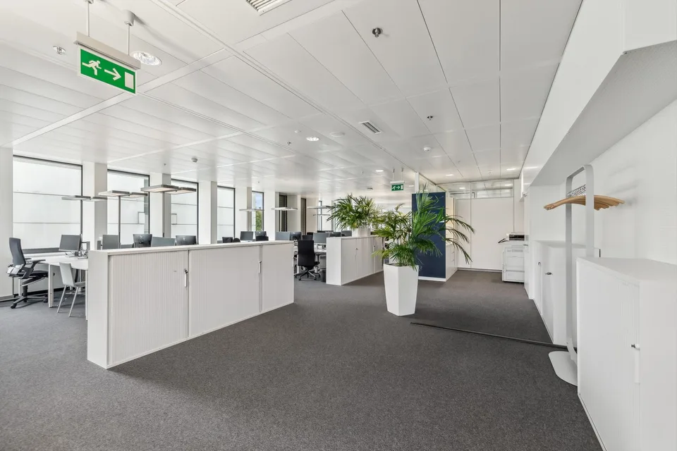 Lavorare dove l'innovazione è di casa - spazi uffici nel campus Novartis – foto 6 di 13