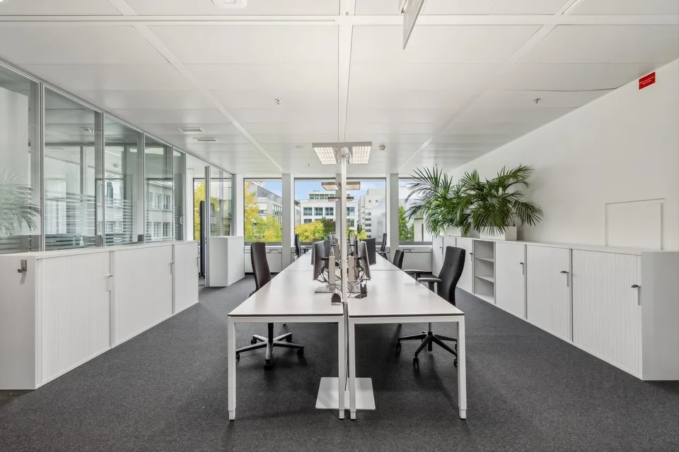Lavorare dove l'innovazione è di casa - spazi uffici nel campus Novartis – foto 7 di 13