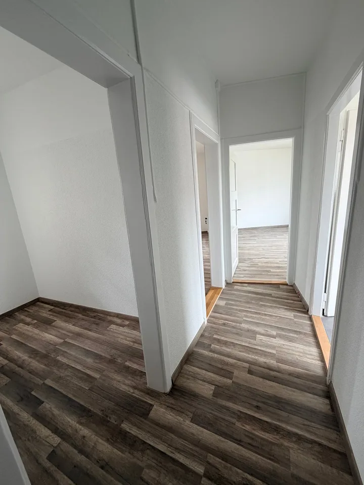 Appartement 2 pièces fraîchement rénové à louer