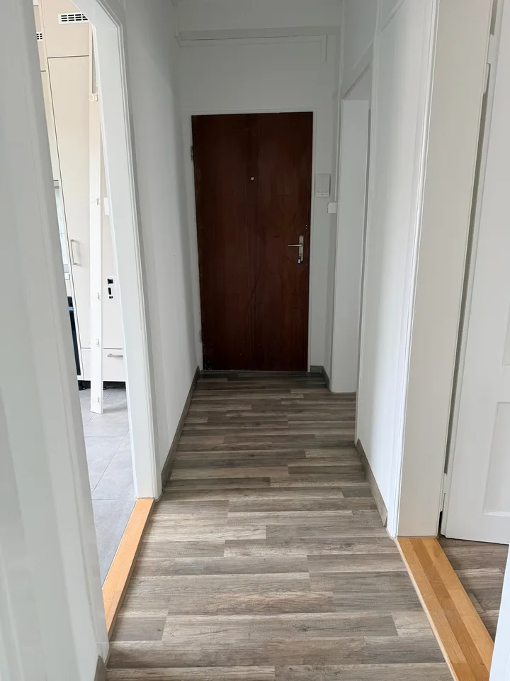 Appartement 2 pièces fraîchement rénové à louer