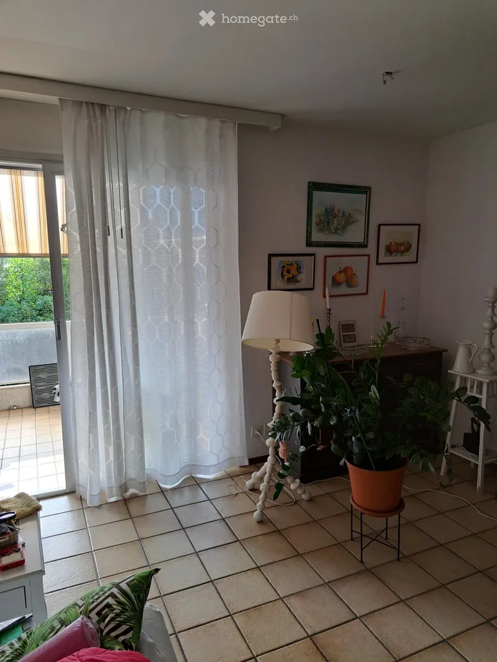 Apartment near city center