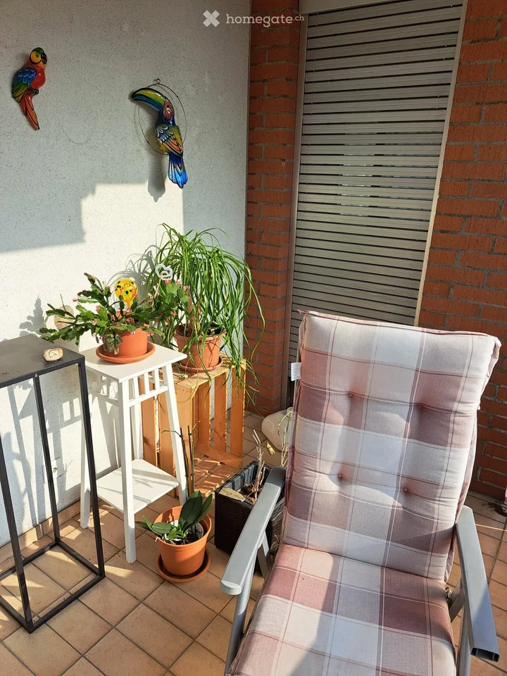 Apartment near city center