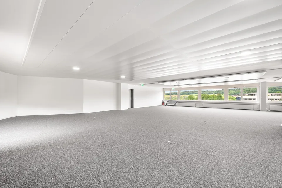 268 m2 large commercial/office space for rent in Urdorf