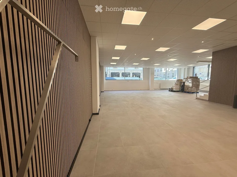 Moderner Gewerberaum von 220m² im Herzen von Genf