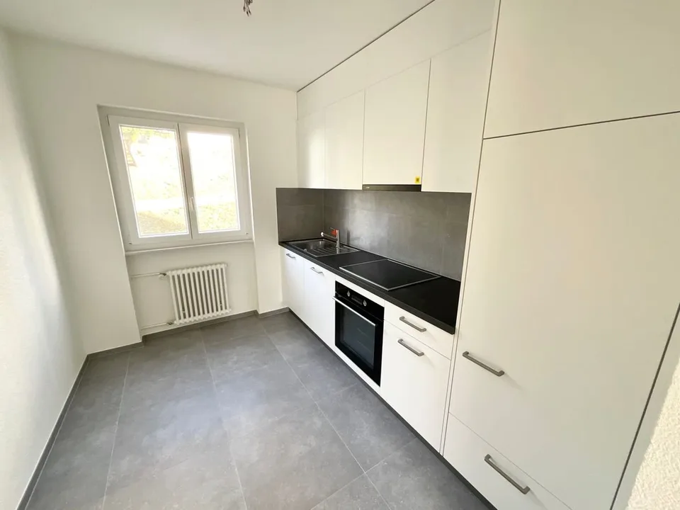 Magnifique appartement de 3 pièces refait à neuf avec balcon