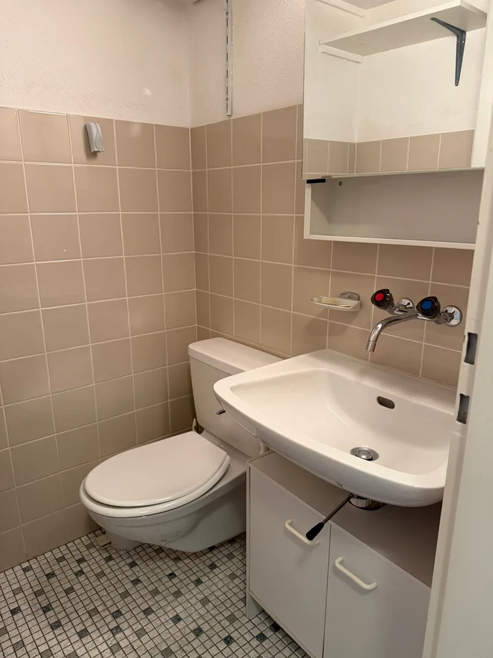 Affascinante appartamento di 5 locali con balcone e vista panoramica ad Altdorf – foto 14 di 14