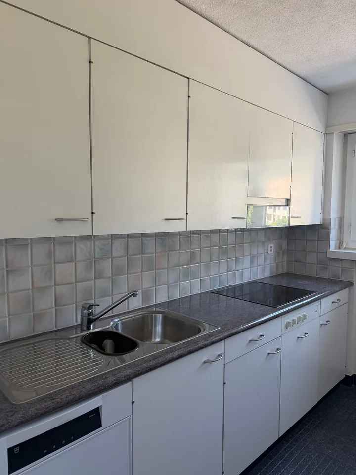 Affascinante appartamento di 5 locali con balcone e vista panoramica ad Altdorf – foto 10 di 14