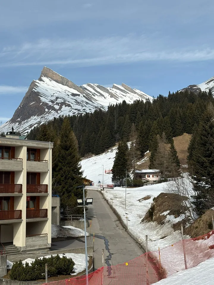 Nouvel appartement 3.5 pièces à la Residenza Castanea, San Bernardino (GR) – photo 25 sur 27