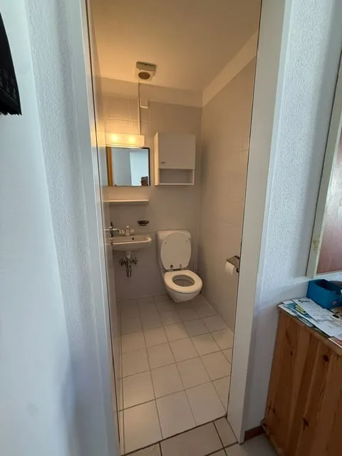 Accogliente appartamento di 2 locali con balcone e vista sulle montagne a Ponte Capriasca – foto 6 di 10
