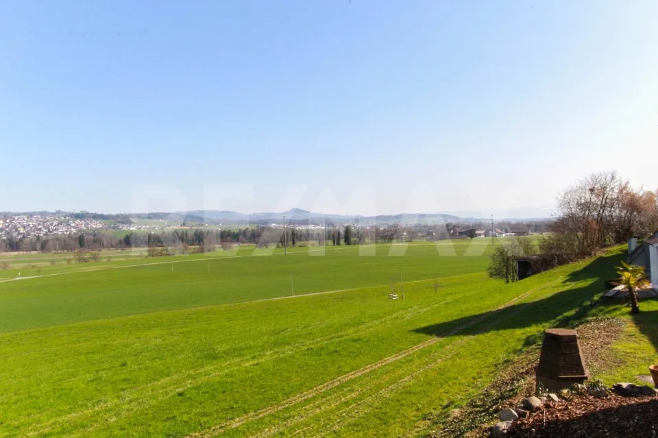 Vista su prati verdi e le montagne – foto 6 di 9