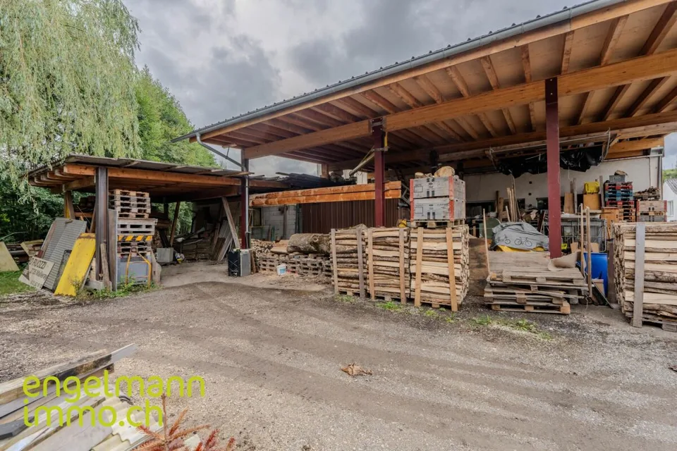 Immeuble industriel / Industrieflächen – Foto 10 von 12