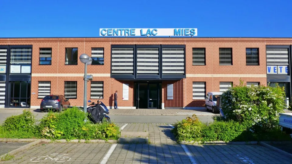 Büro_Lokal_Gewerbe_Mies