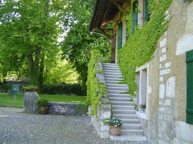 Exklusiv: Magnifique propriété im Herzen des Weinbergs
