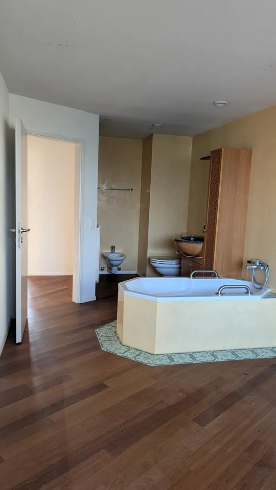 Penthouse in vendita