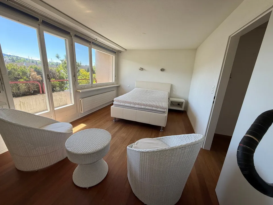 Penthouse in vendita