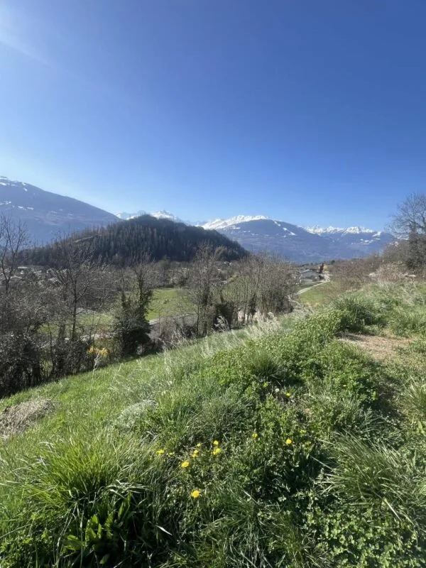 Terrain à La Place (Ayent)