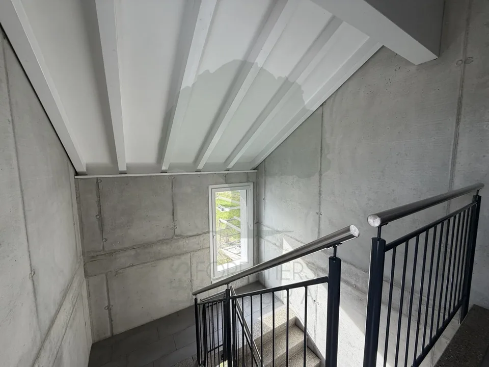 Prächtige 4.5-Zimmer-Minergie-Wohnung mit Terrasse