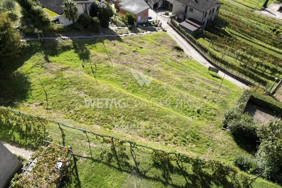 Lugano-Neggio: terreno edificabile di 1'137 m² con vista sul Lago di Lugano in vendita – foto 6 di 12