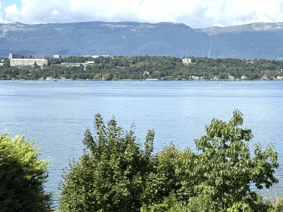 Außergewöhnliche Wohnung in Cologny - Panoramablick auf den Genfersee / 10-Zimmer-Wohnung