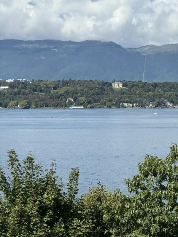 Appartement d'exception à Cologny - Vue panoramique sur le lac Léman / Appartement 10 pièces