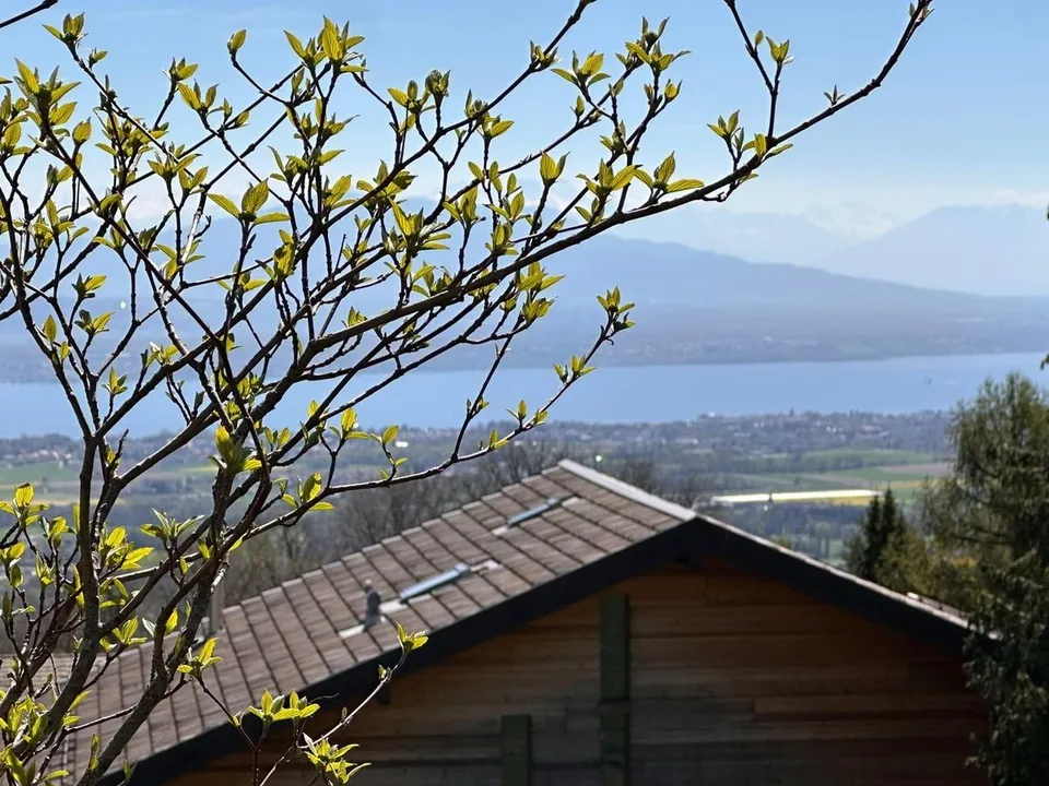 Luce e volumi - Una villa eccezionale affacciata sul Lago di Ginevra