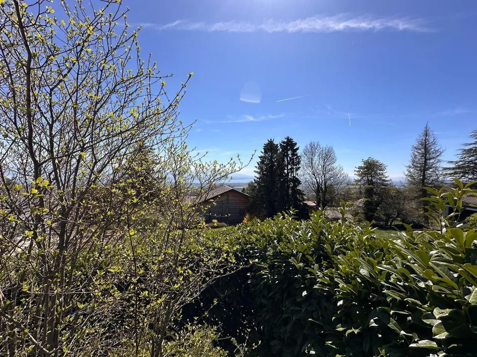 Licht und Volumen - Eine außergewöhnliche Villa am Genfersee – Foto 9 von 17