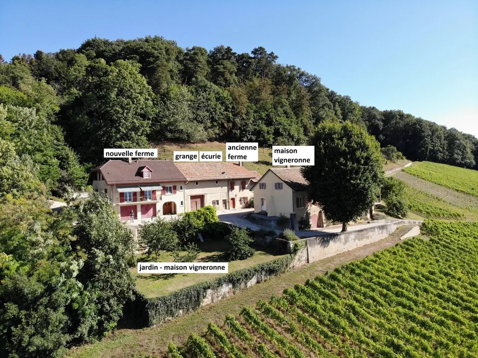 Luins, Domaine viticole avec forêt, vue imprenable lac