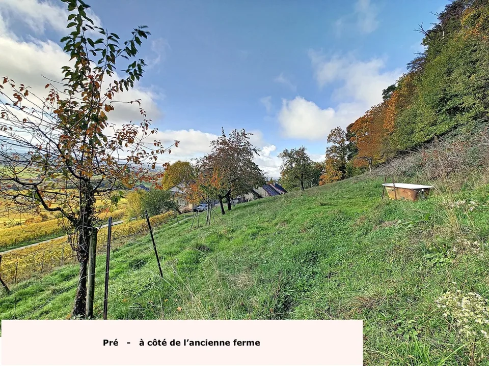Luins, Domaine viticole avec forêt, vue imprenable lac