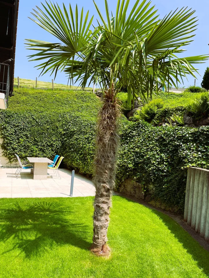Maison de campagne de 7,5 pièces bien entretenue dans un quartier calme d'Ennetmoos – photo 10 sur 11