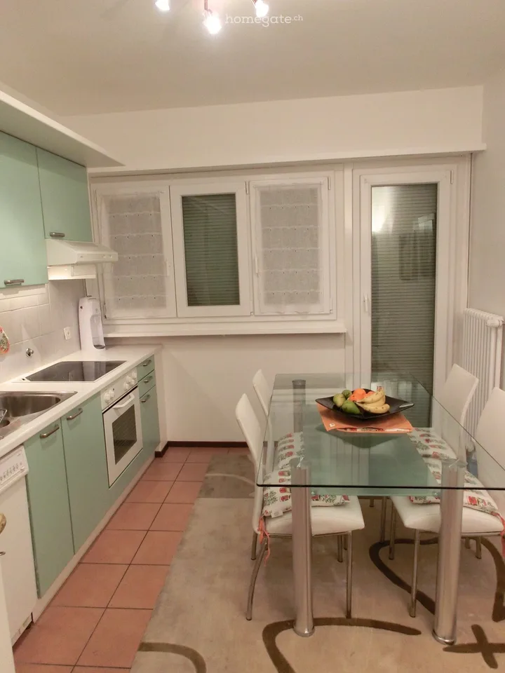 Ampio 4.5 ristrutturato con vista aperta e box a Chiasso