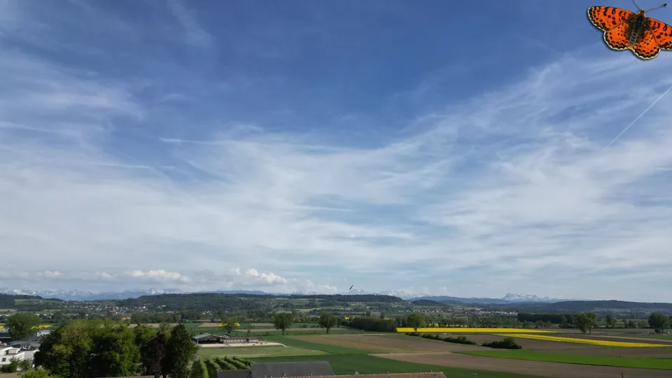 Appartamento nuovo in attico di 3½ locali a St-Aubin – foto 11 di 13