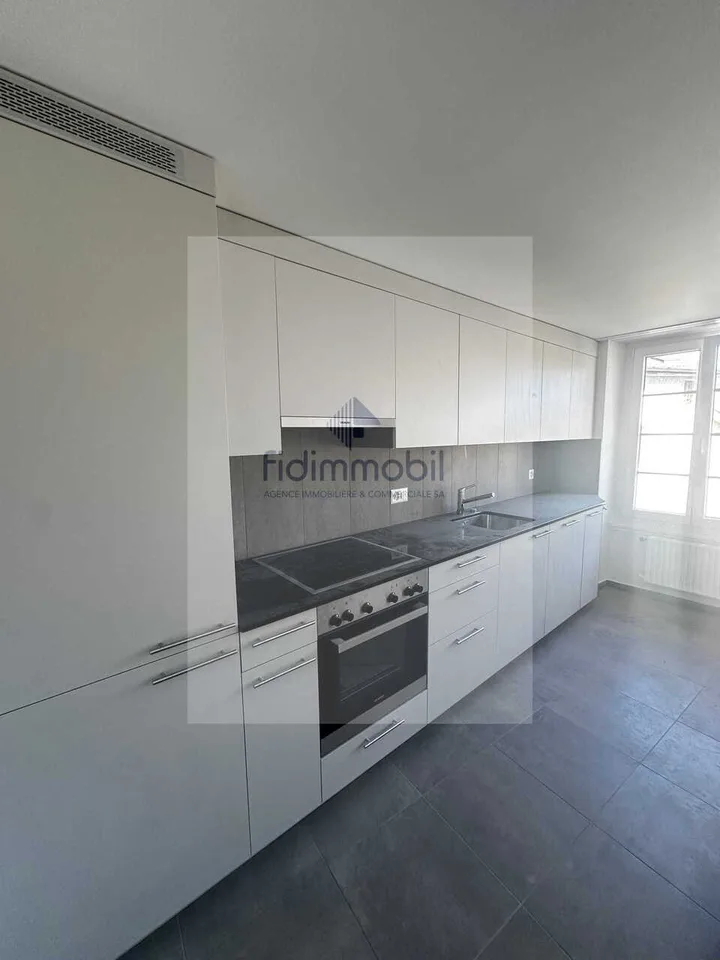 APPARTEMENT ENTIÈREMENT RÉNOVÉ DANS QUARTIER CALME